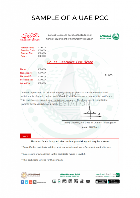 pcc Dubai Card